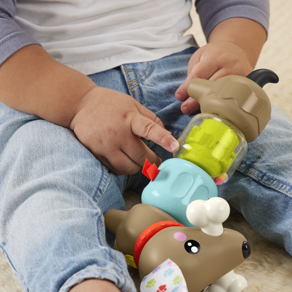 Fisher Price Pets Click &Amp; Spin Puppy
