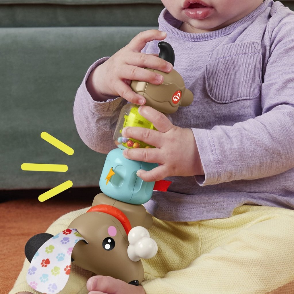 Fisher Price Pets Click &Amp; Spin Puppy
