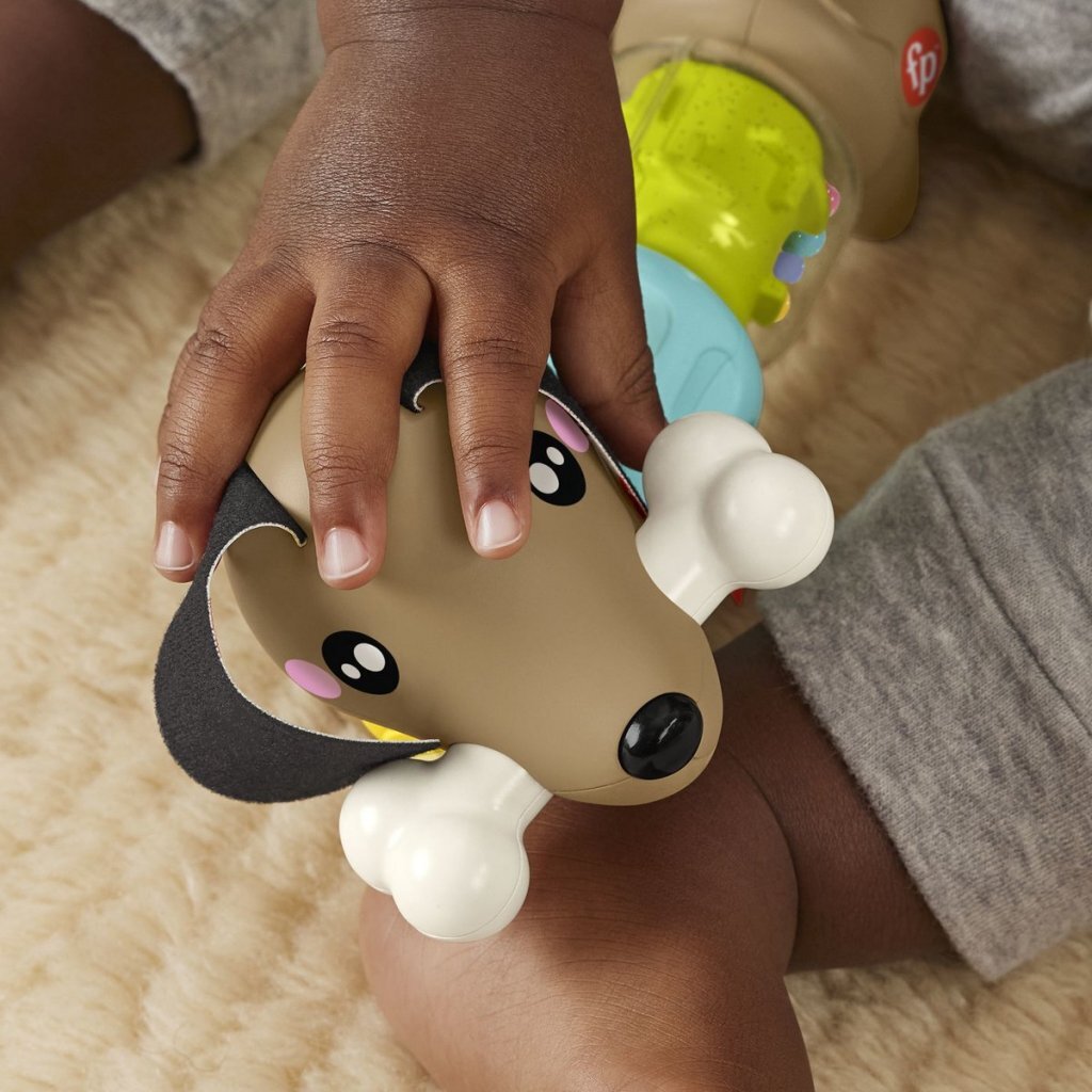 Fisher Price Pets Click &Amp; Spin Puppy