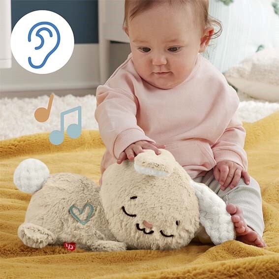 Fisher Price Soothe And Settle Knuffel Konijn + Licht En Geluid