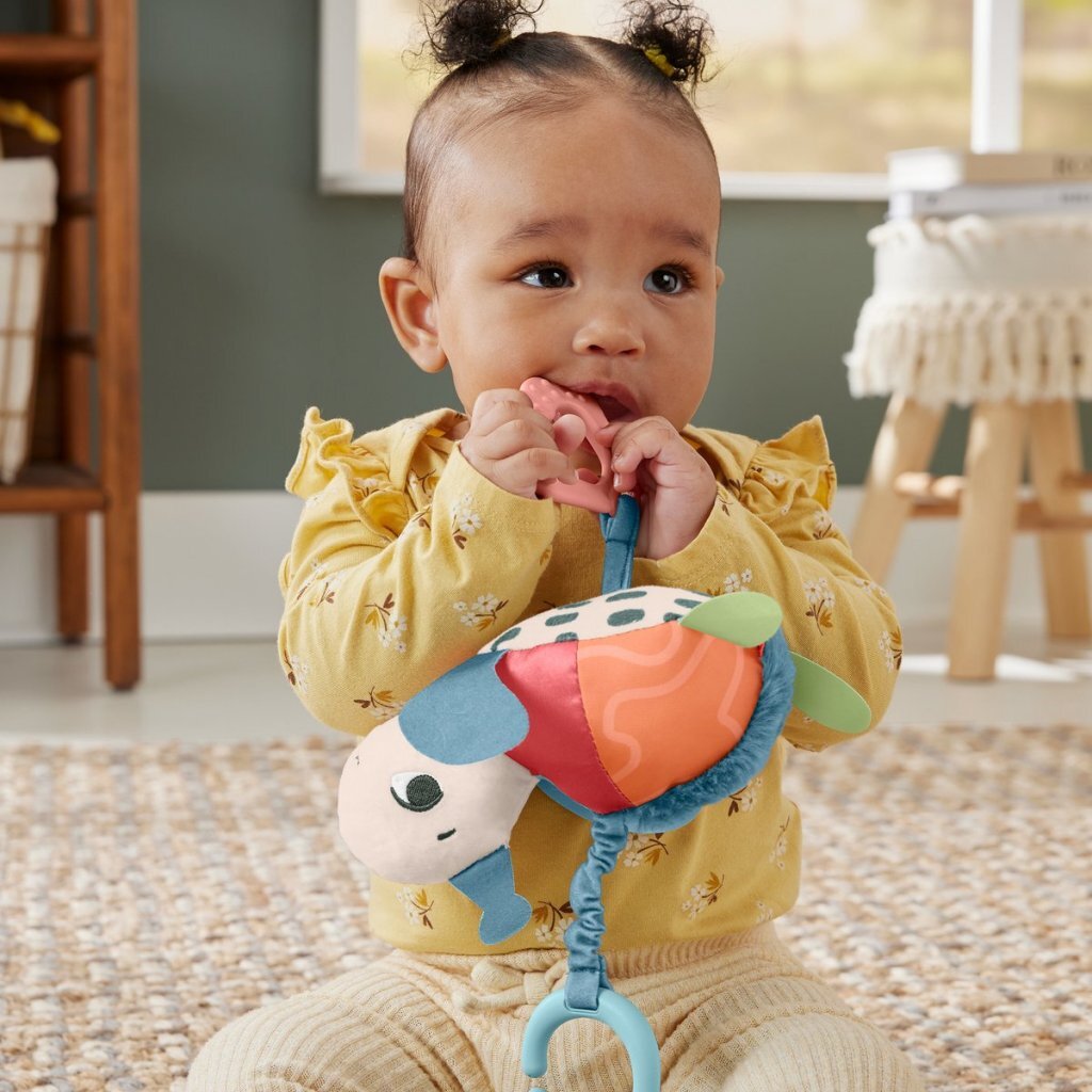 Fisher Price Sea Me Bounce Schildpad + Geluid