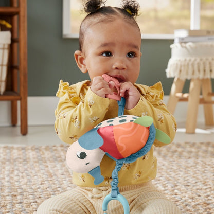 Fisher Price Sea Me Bounce Schildpad + Geluid
